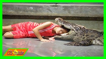 Video hot - Xiếc cá sấu - LTS Youtube