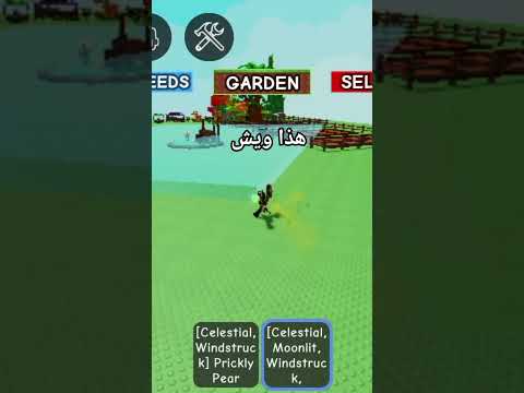 هذا ويش