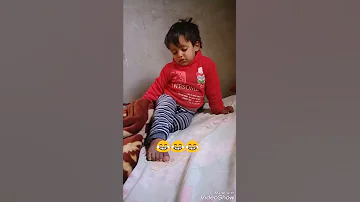 شوفت نمله عماله عمله لمه صحبها بتشرب خمره هتموت من الضحك 