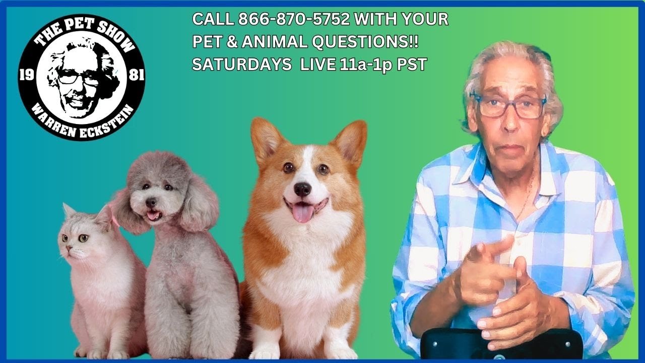 the-pet-show-update-9-15-23-youtube