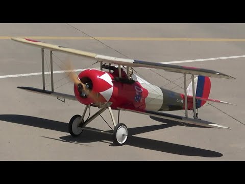 Dale Rooney pilots