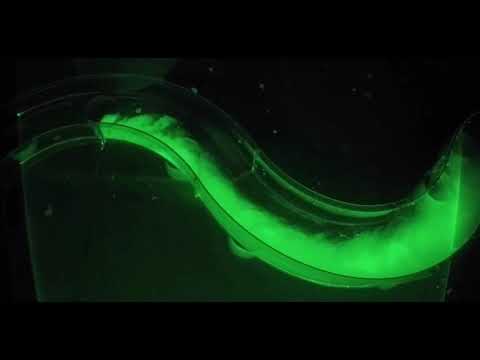 Turbulence Processes Within Turbidity Currents: Supplemental Video 2