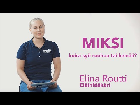 Video: Mikä ruohoa syö?