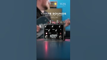 Three Sounds: Benson Amps Delay Pedal
