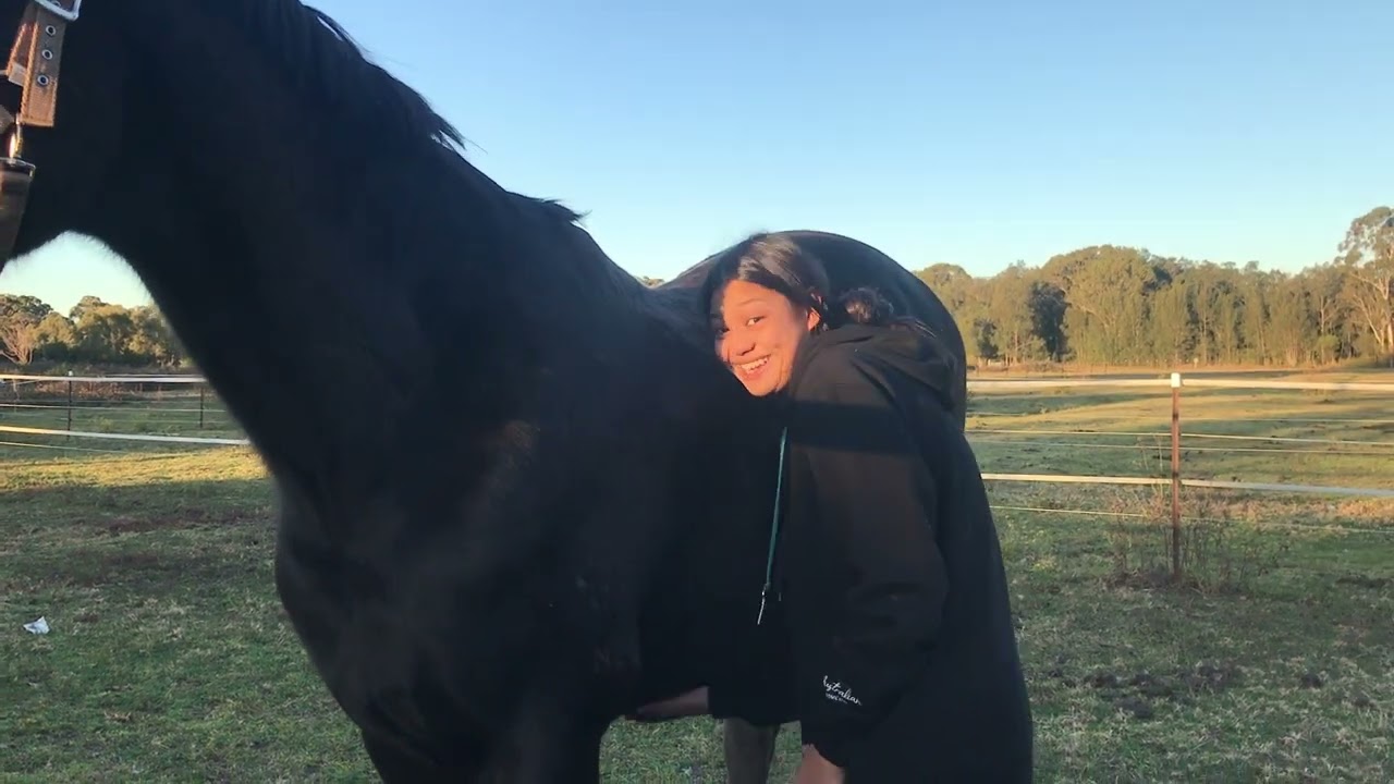 Mocha Settles In- Natalie's New Horse Arrives At Our Paddock
