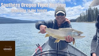 Loch Style Stillwater Fly Fishing at Diamond Lake - HUNTING TIGERS IN THE JUNGLE