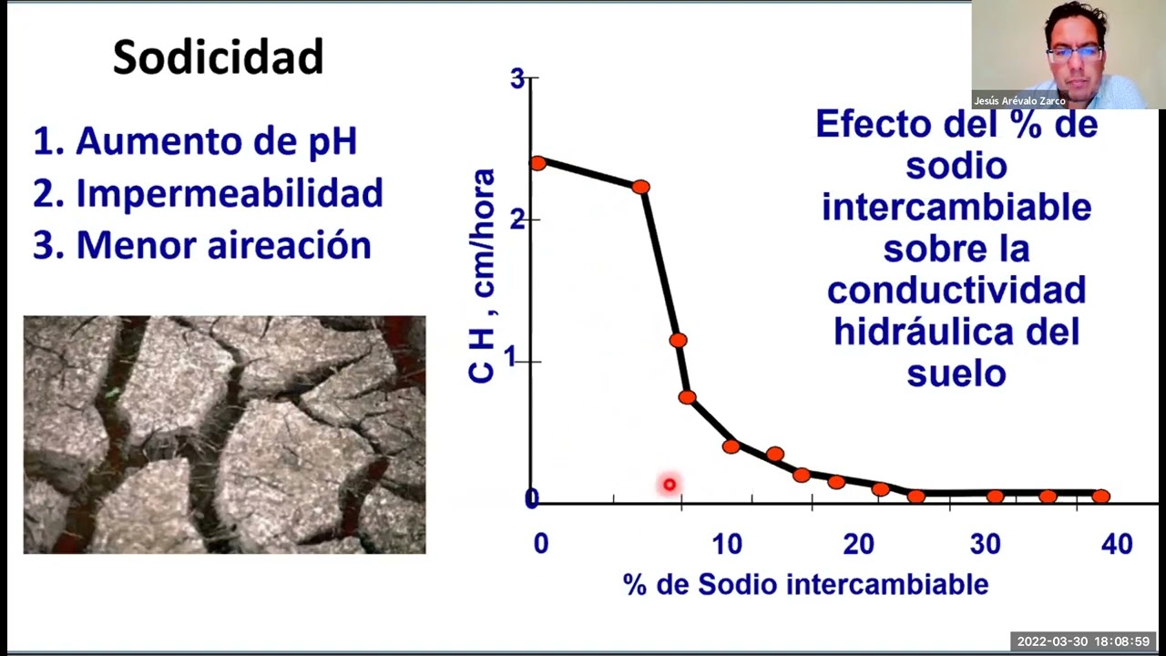 Hablemos de Fertirrigación de Tomates.