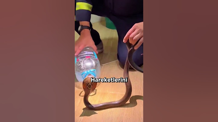 Adam Pet Şişeyle Yılan Yakaladı.. 🐍