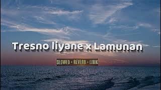 Lamunan | tresno liyane | slowed | Reverb | Wong ayu age nyedhak a ing sandhingku Nyawang manis