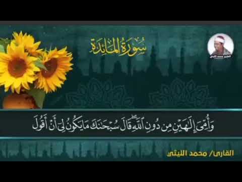 كروان الشرقية والعالم الإسلامي الشيخ محمد الليثي إبداع وتألق وصوت عزب رقراق