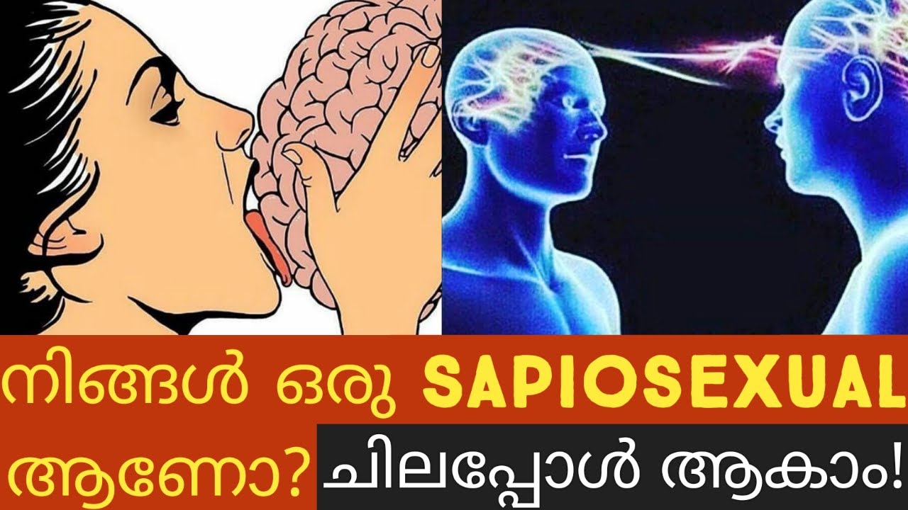 Sapiosex What Is