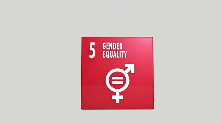 SDG 5:   GENDER EQUALITY