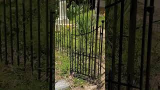 Grave Of Devil Anse Hatfield