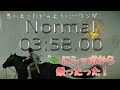 ワンダと巨像 9体目 Normal TA