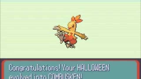 Pokemon Ruby Nuzlocke challenge(part 3)