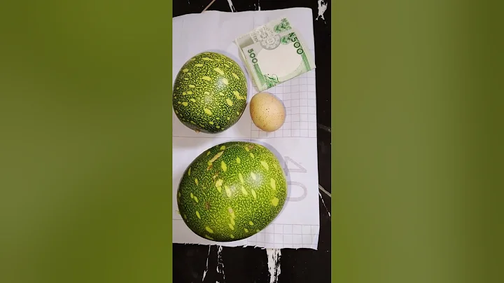 APASE ONFA OWO 🔥 ASIRI BIBO TODAJU 🔥