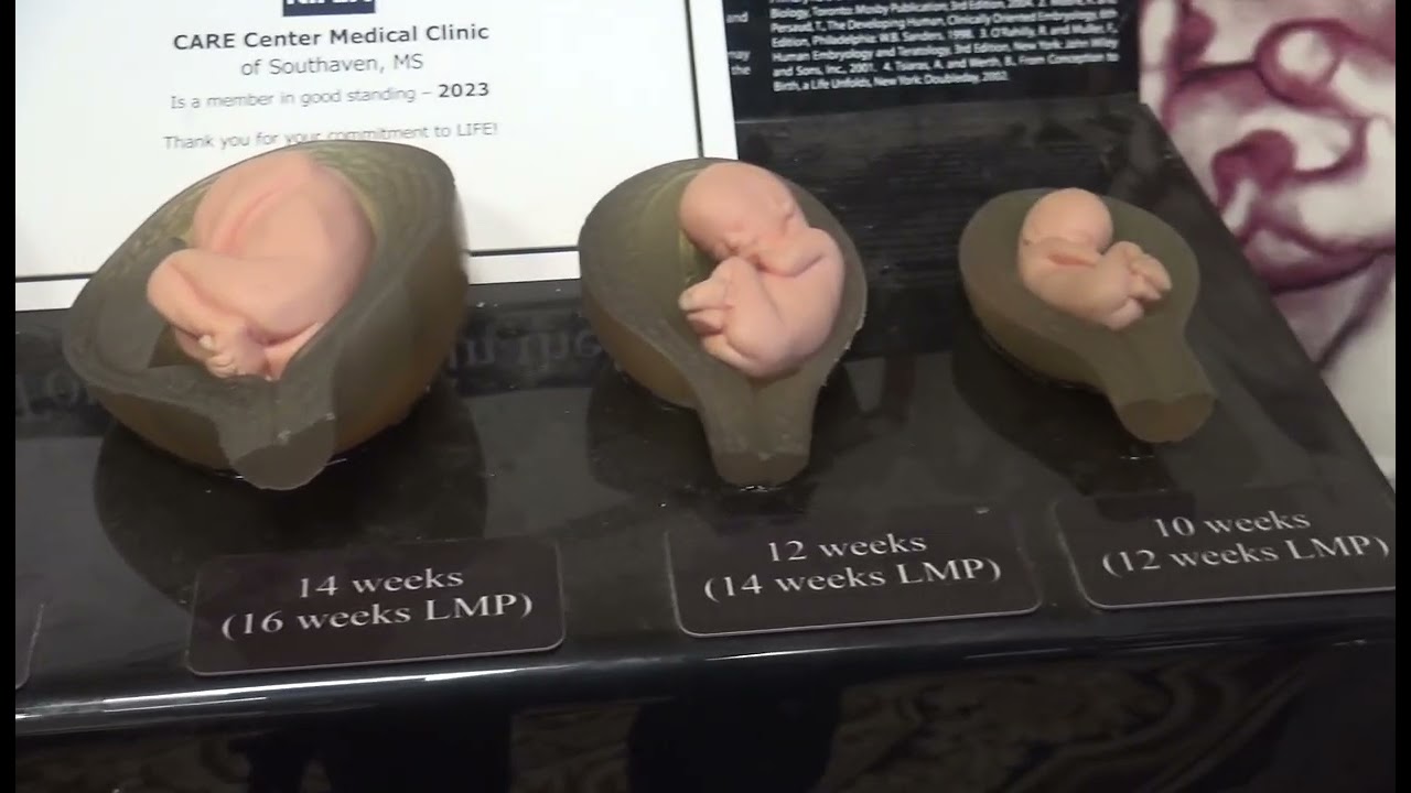 Pro-Life Pregnancy Care Center