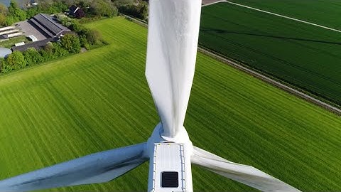 Navigating net zero: why transitioning is non-negotiable