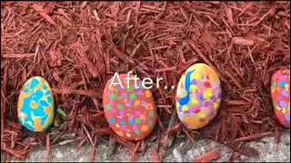 DTU Spring Events 2025