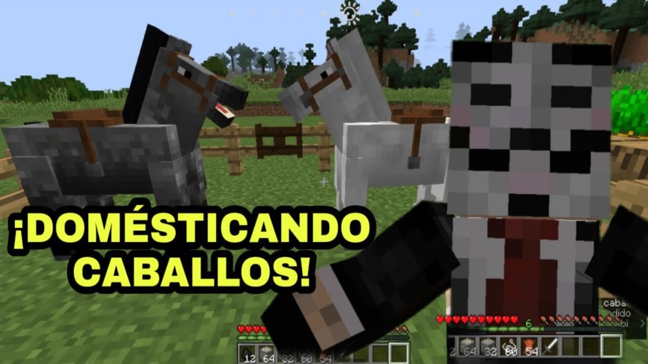 Como Poner Montura A Un Caballo En Minecraft