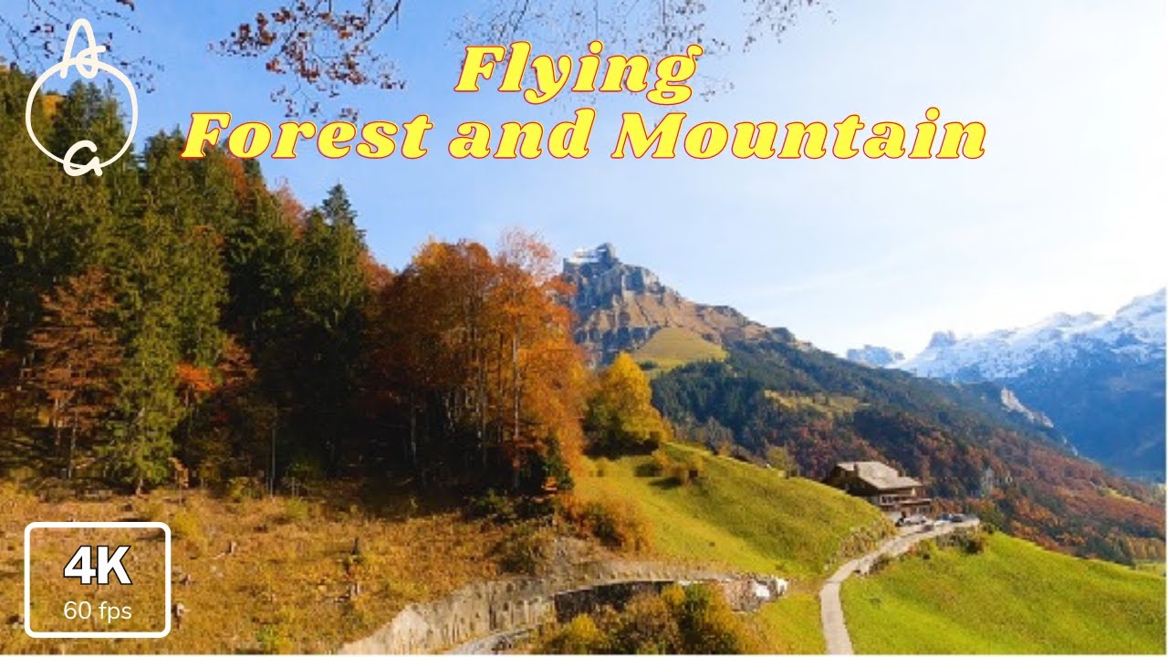 Flying Forest and Mountain Relaxing Music 4K Video 60 FPS