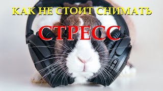 Как успокоить нервы и снять стресс без танцев с бубном