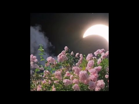 niontay type beat - "necronomicon" preview