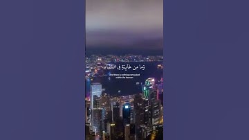 ابدأ يومك بسكينة.. استمع لسورة تُلين القلوب وتشرح الصدور 🕊️🌤️ | بعد صلاة الفجر