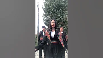 Bilal Grass Seyrane şarkı Sözleri Shorts 