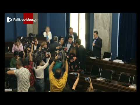 ეკა ბესელია ვანო ზარდიაშვილს ფიზიკურად დაუპირისპირდა