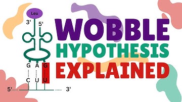 The Wobble Hypothesis Explained | Codon-Anticodon Pairing & Genetic Code Degeneracy | Francis Crick