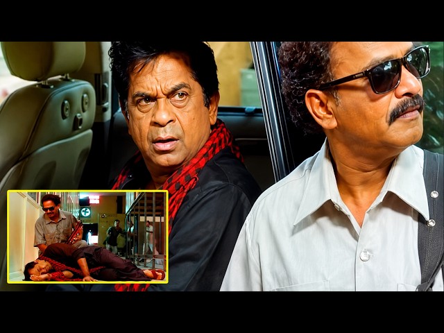 Brahmanandam And Venumadhav Outstanding Comedy Scenes | Telugu Videos | Movies |@iDreamBhimavaram