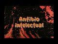 Anfibio intelectual / Fender Stratocaster