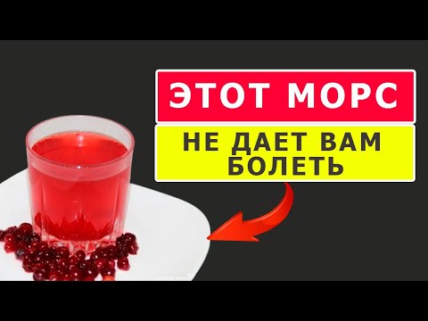 Чем полезен клюквенный морс и есть ли к нему какие-то противопоказания? | Польза и вред