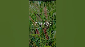 القرآن الكريم 🎉🎉✨🌟 #islamicvideo #Qislamicworld63 #Qislamiccurse63 #دويتو #اكسبلور