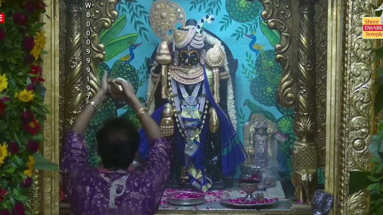 7 June 2025Dwarkadhish Temple full Day Darshan श्री भगवान द्वारकाधीश जी के पुरेदिन की आरती दर्शन 