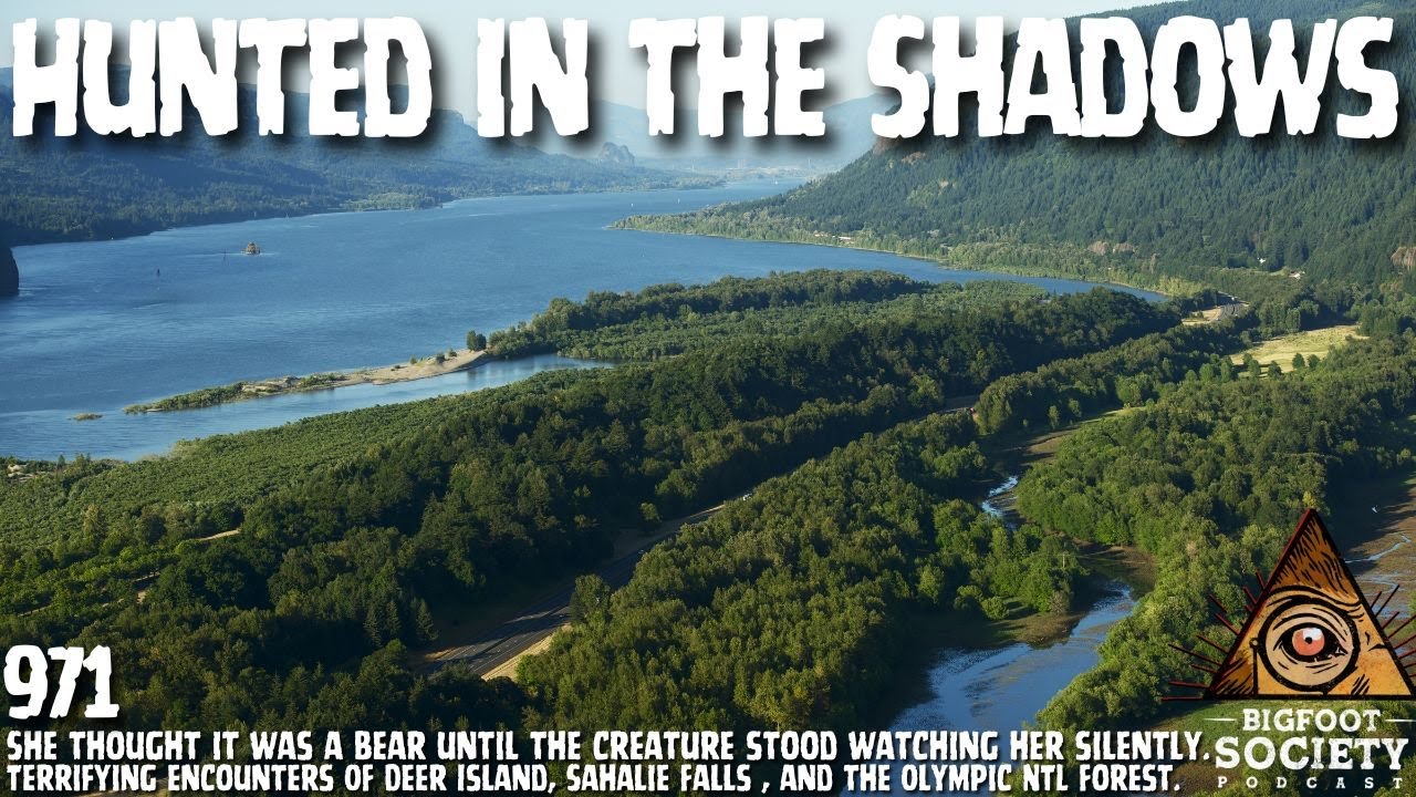 Forager and the Giant Squatting Figure in the Hamma Hamma River | Washington | Bigfoot Society 971