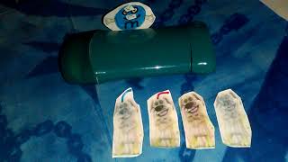 4 Cat Talking Bens Cuss In Clgrounded