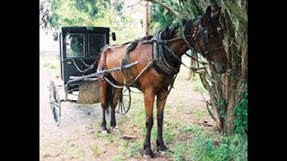 2018 Annual Spring Dinner Hoofbeats Through History in St Mary s County