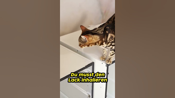 Wenn man zu viel Lack inhaliert #shorts