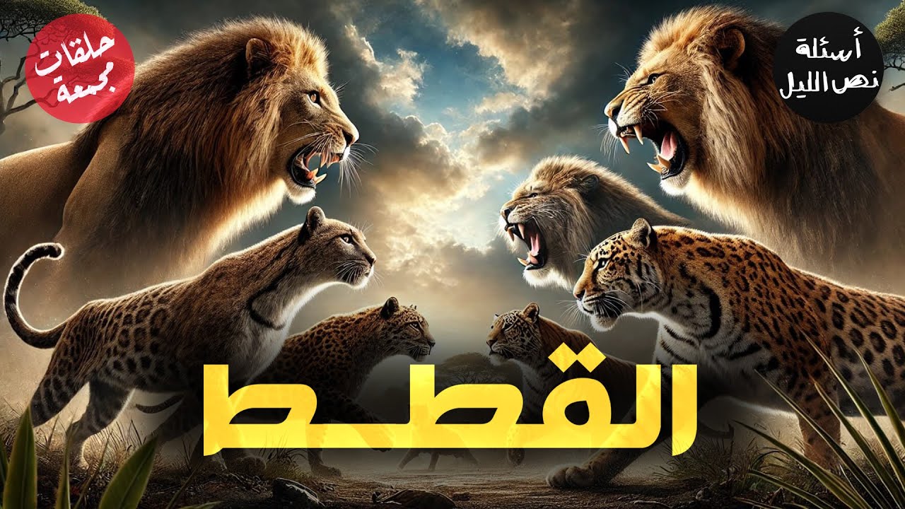 القطط البرية والقطط الأليفة | أسئلة مجمعة