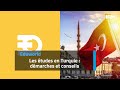 Allo ifm spciale radio campus eduworld les tudes en turquie  dmarches et conseils
