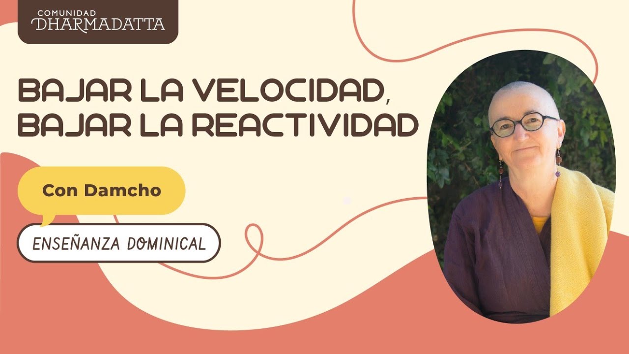 Bajar la velocidad, bajar la reactividad