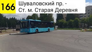 картинка: Автобус 166. Шуваловский пр. - Ст. м. Старая Деревня