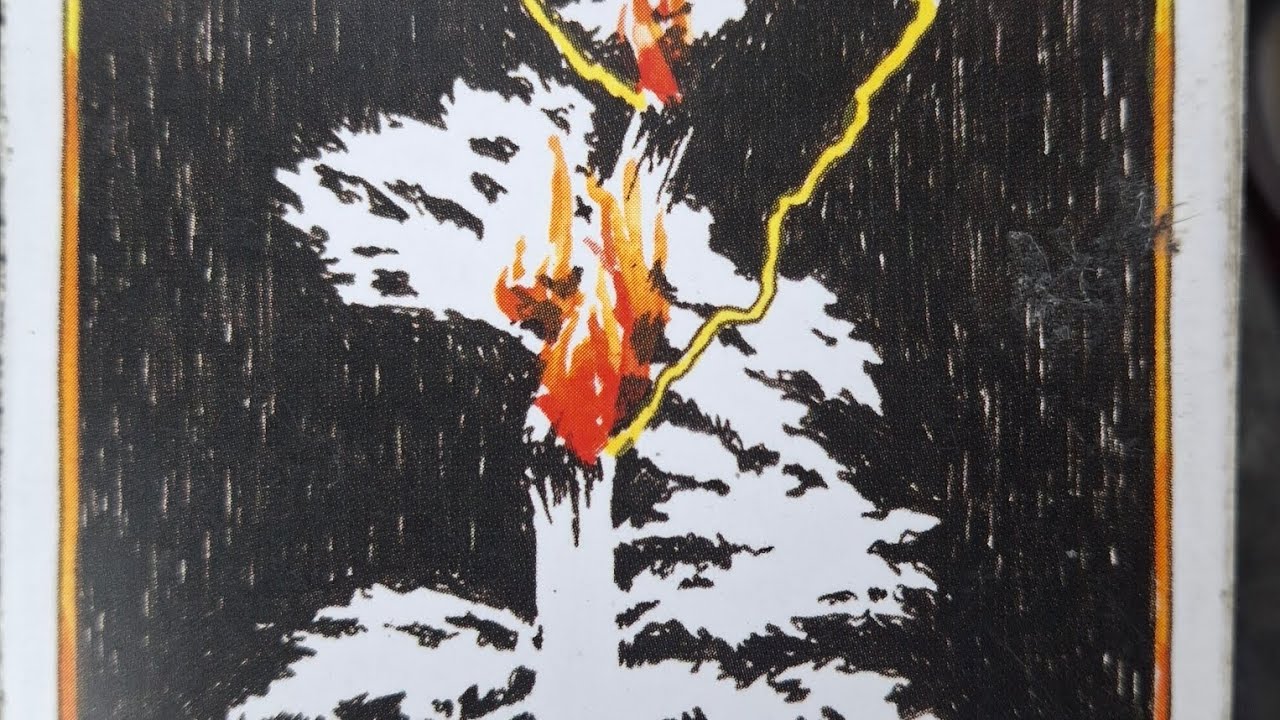 These 2 need help .. nut case lol confused 