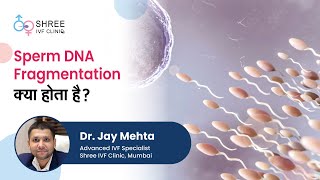 Sperm DNA Fragmentation क्या होता है? | Dr Jay Mehta | Advanced IVF Specialist | Shree IVF Clinic