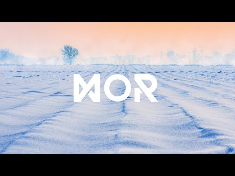 Video: Snow Phlox