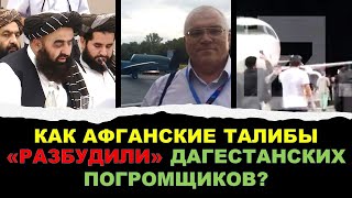 Как афганские талибы «разбудили» дагестанских погромщиков?