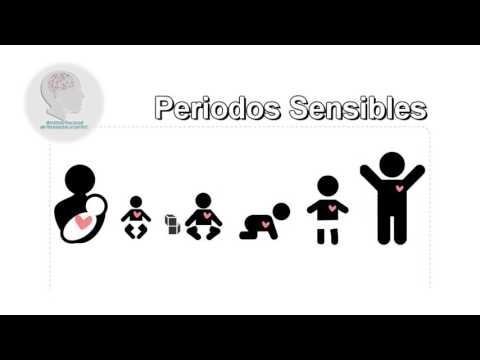 Video: Qué Caracteriza El Período Sensible