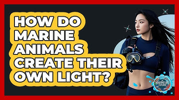 How Do Marine Animals Create Their Own Light? - The Marine Life Explorer